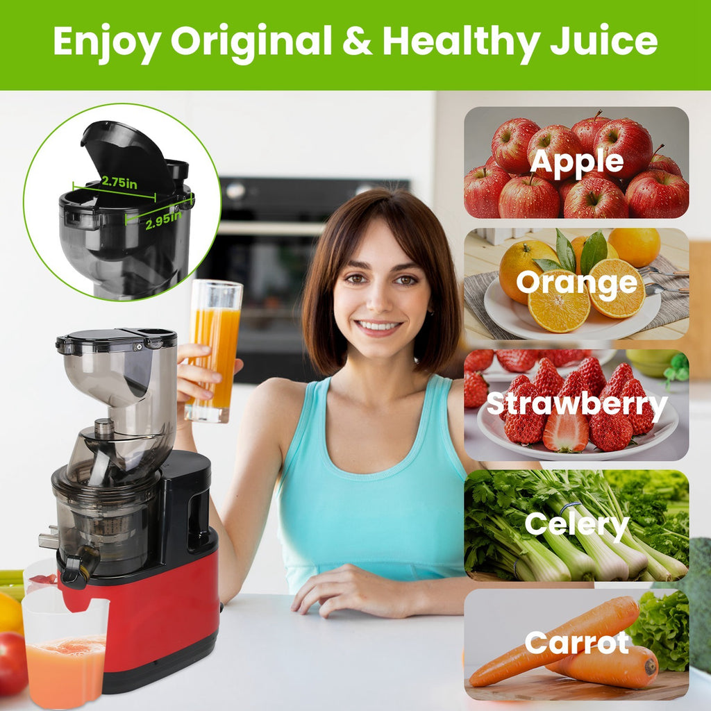 1Pc Cold Press Juicer Machine 300W Electric Slow Masticating Juicer For Whole Vegetable And Fruit With Reverse Function 2 Containers Cleaning Brush Clear Marks Easy Cleaning Fedex Shipping